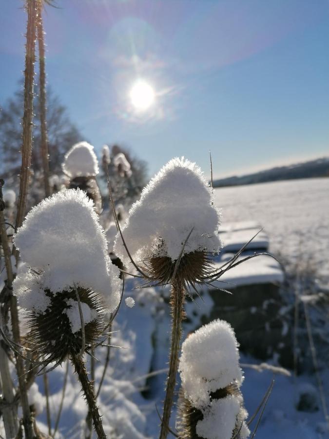 Landgasthof Plohnbachtal UG Lengenfeld  Buitenkant foto